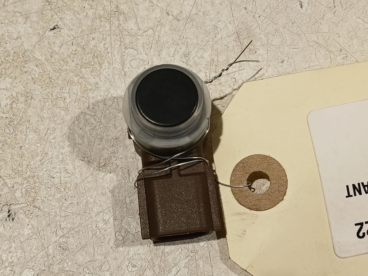 Image sélectionnée