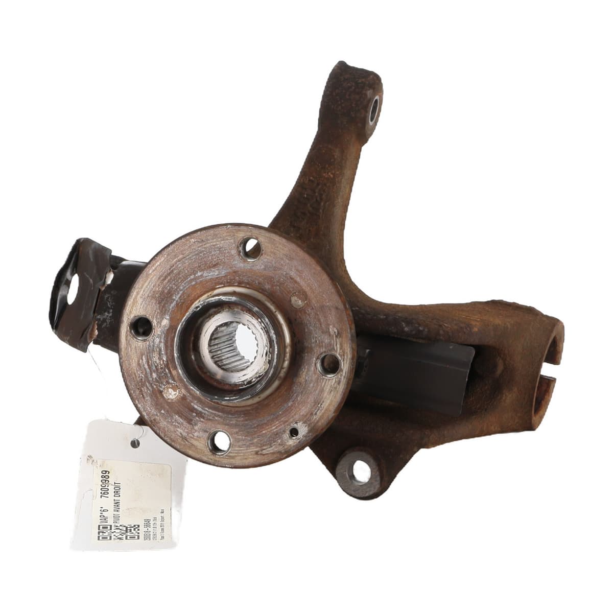 Image sélectionnée