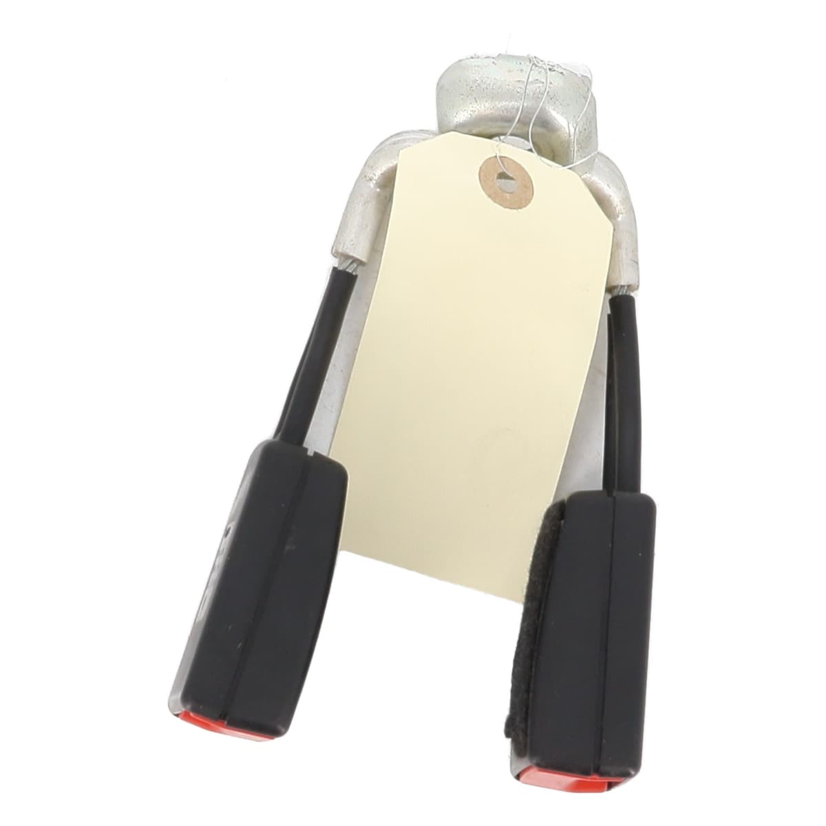 Image sélectionnée