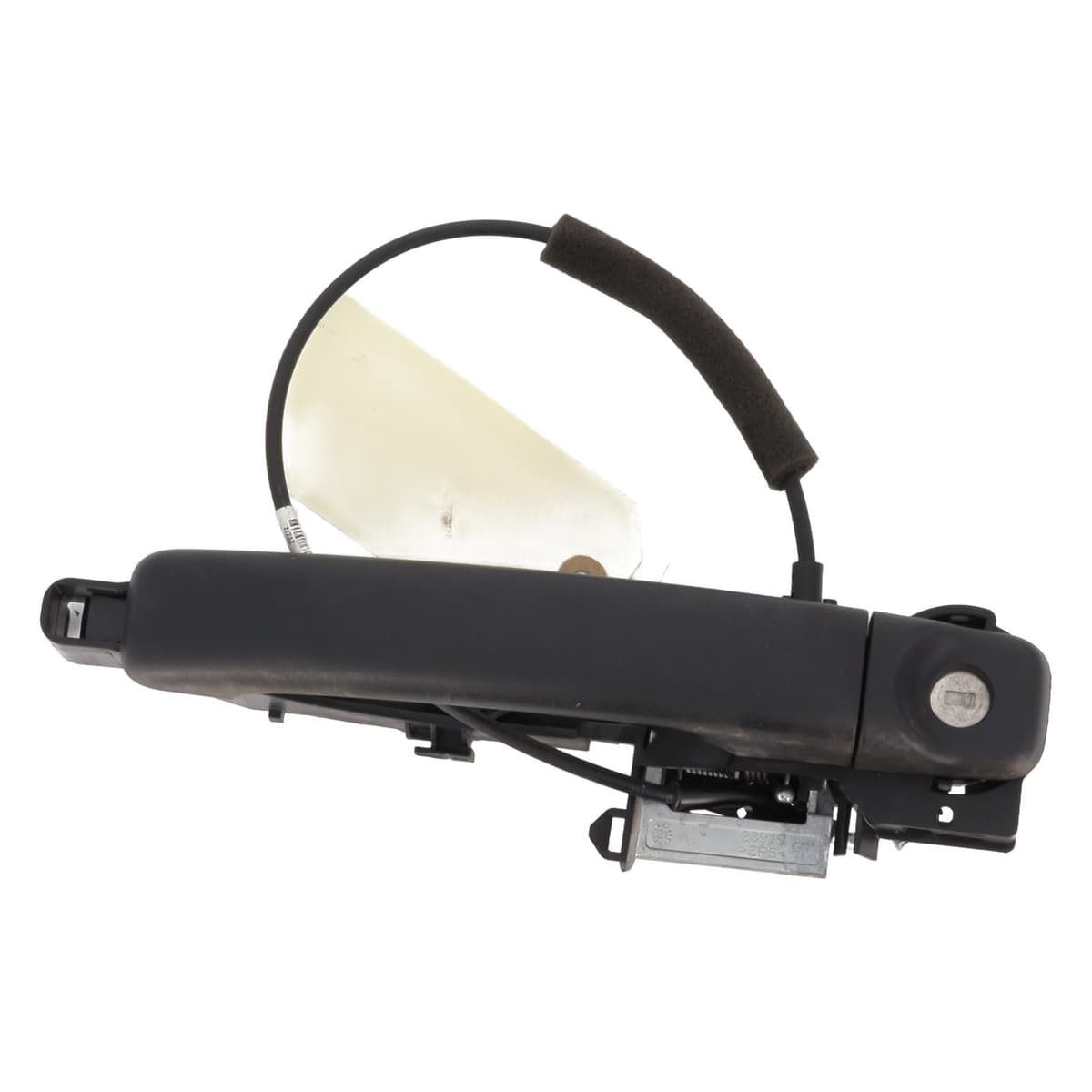 Image sélectionnée