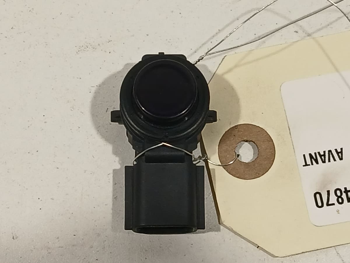 Image sélectionnée