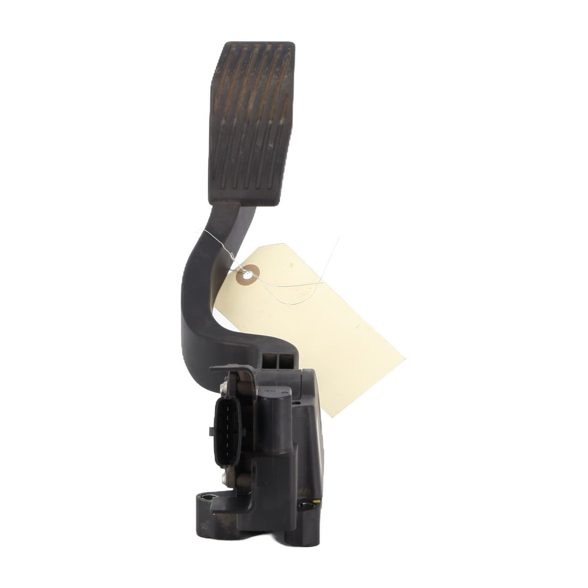 Image sélectionnée