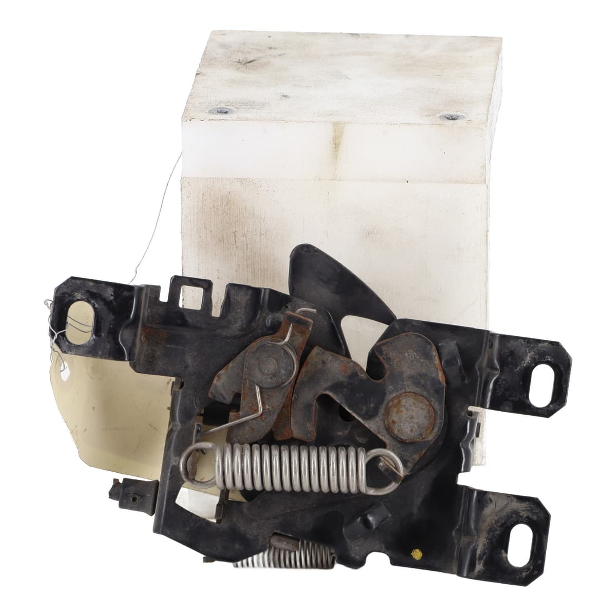 Image sélectionnée