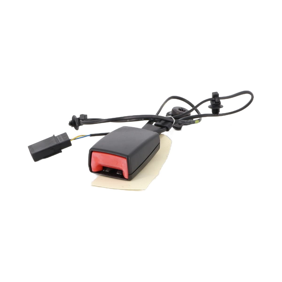 Image sélectionnée