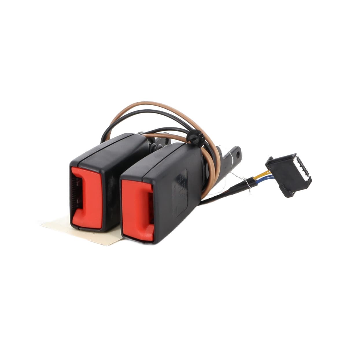 Image sélectionnée