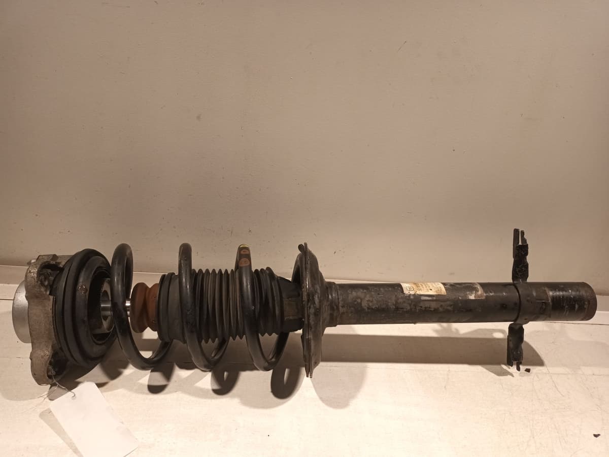 Image sélectionnée