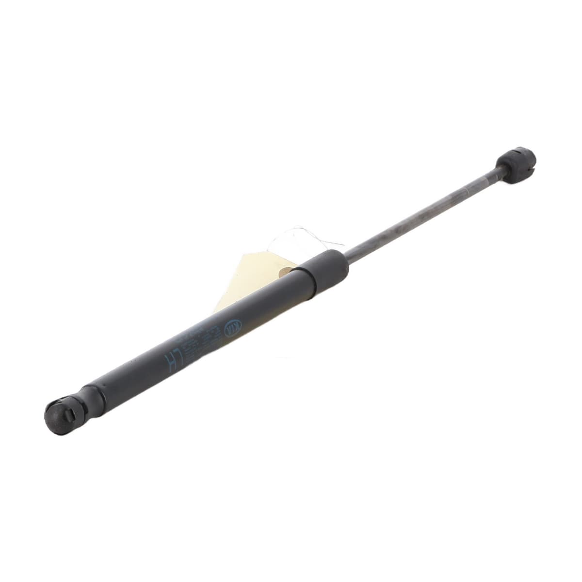 Image sélectionnée