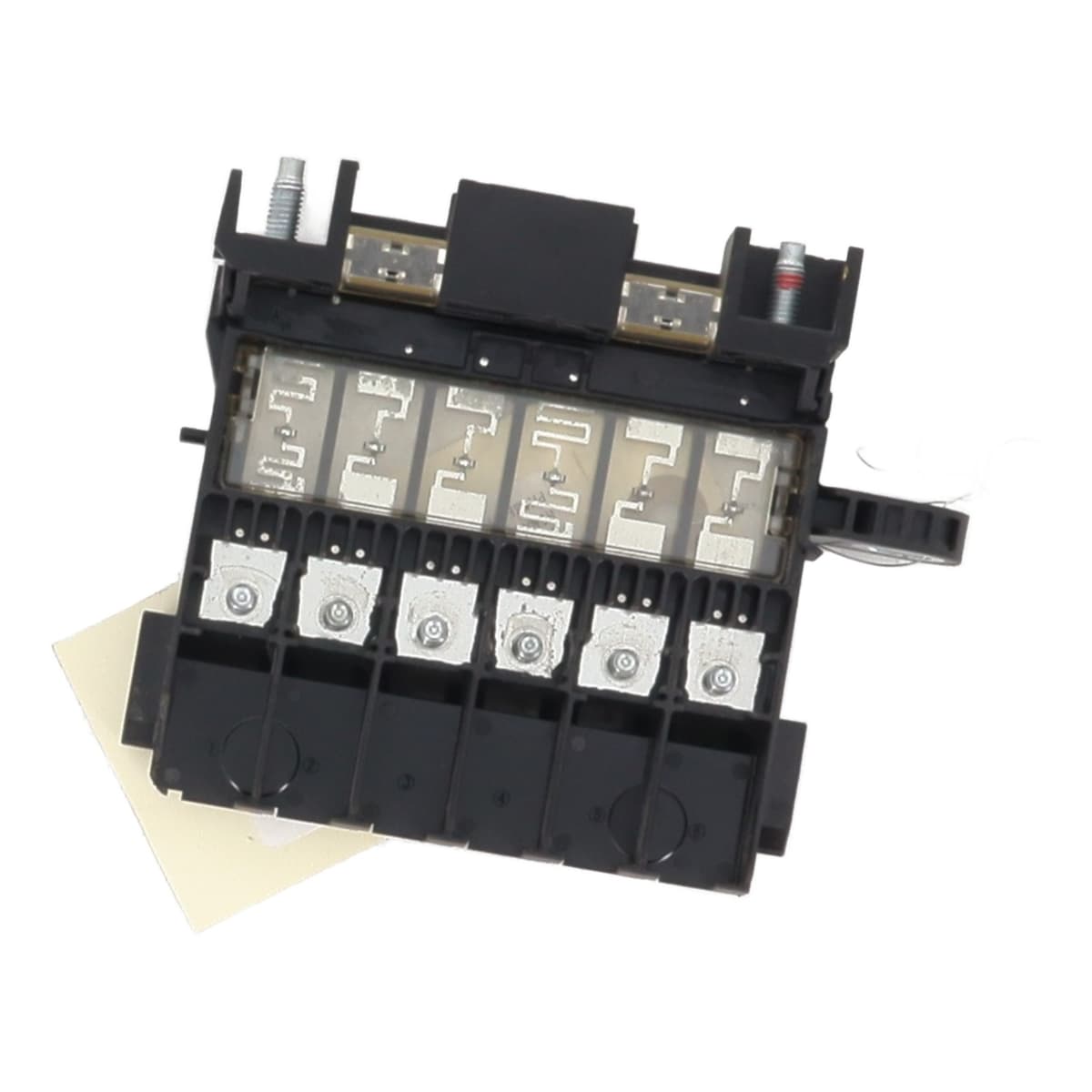 Image sélectionnée