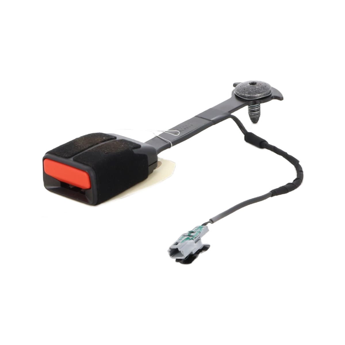 Image sélectionnée