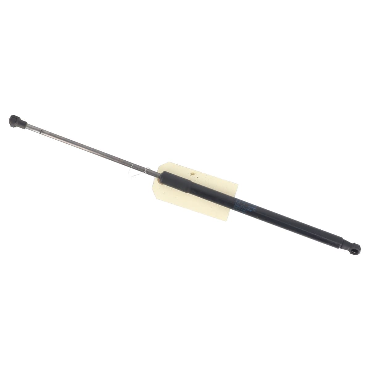 Image sélectionnée