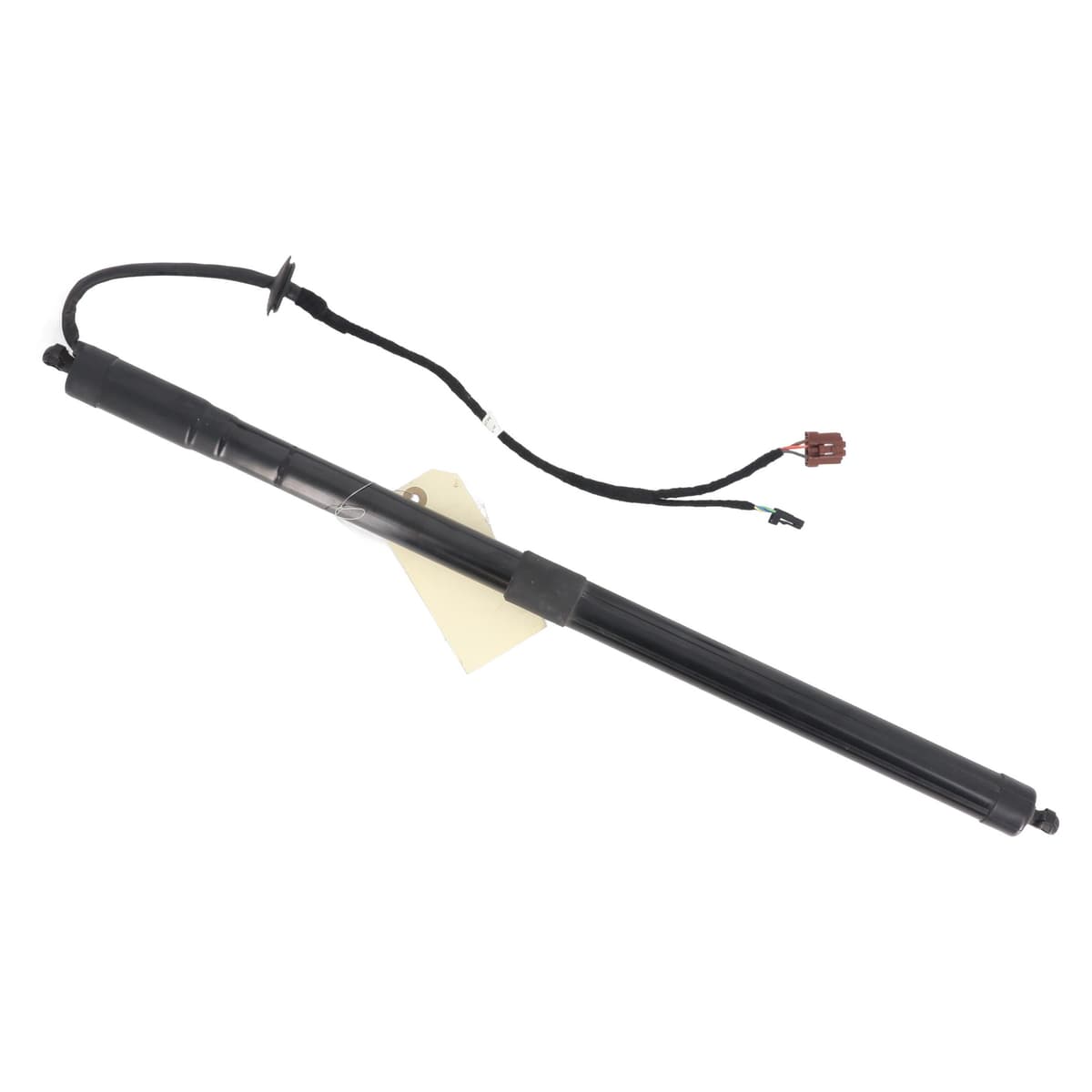 Image sélectionnée